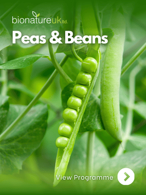 Peas & Beans_thumbnail